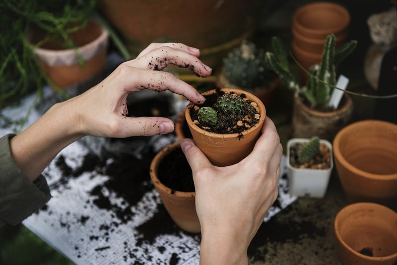 Sustainable Landscaping
